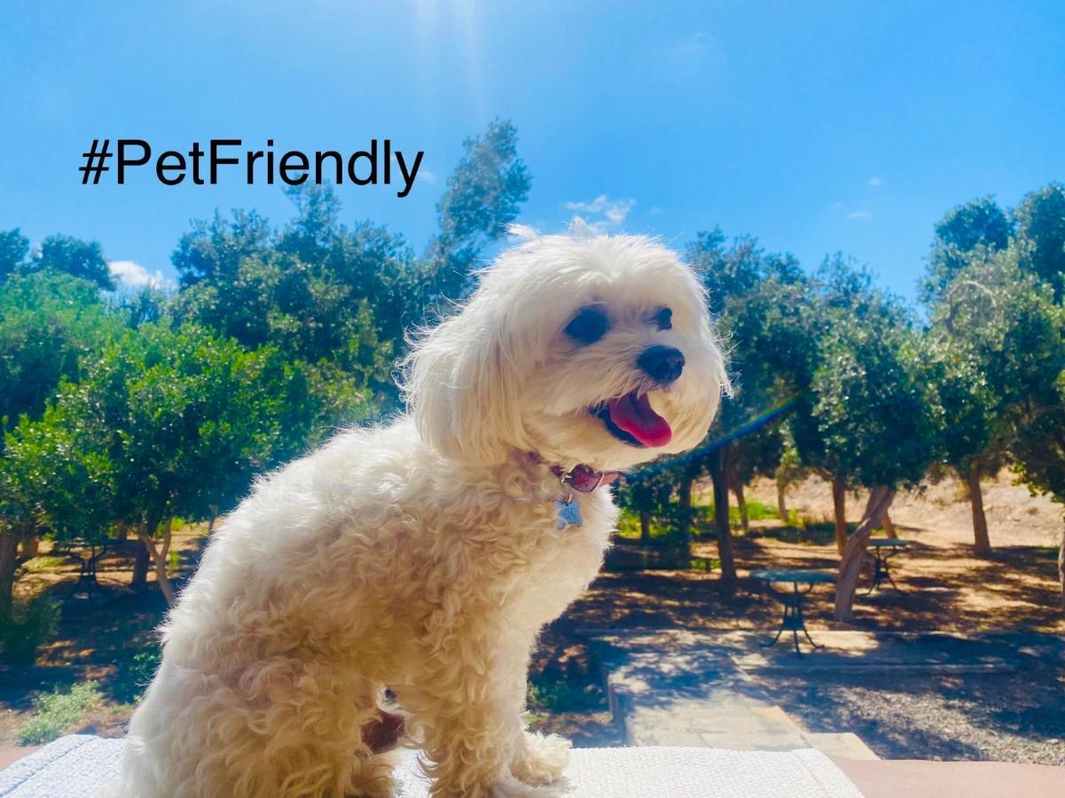 Bungalow Sequero #Pet Friendly Tuineje Exterior foto